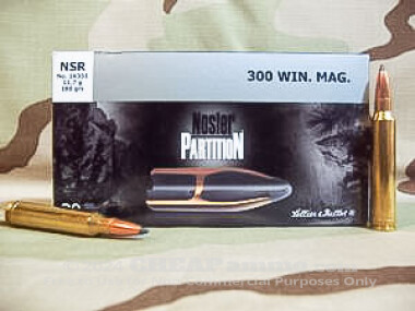 Sellier & Bellot - Nosler Partition - 180 Grain 300 Winchester Magnum Ammo - 20 Rounds