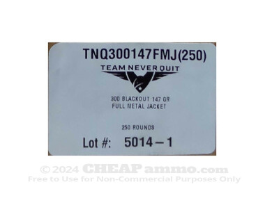 Team Never Quit Full Metal Jacket (FMJ) 147 Grain 300 AAC Blackout  Ammo - 250 Rounds