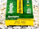 Remington - Soft Point - 80 Grain 243 Winchester Ammo - 20 Rounds